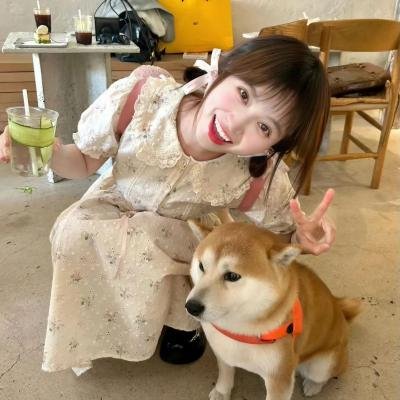 绘龙者